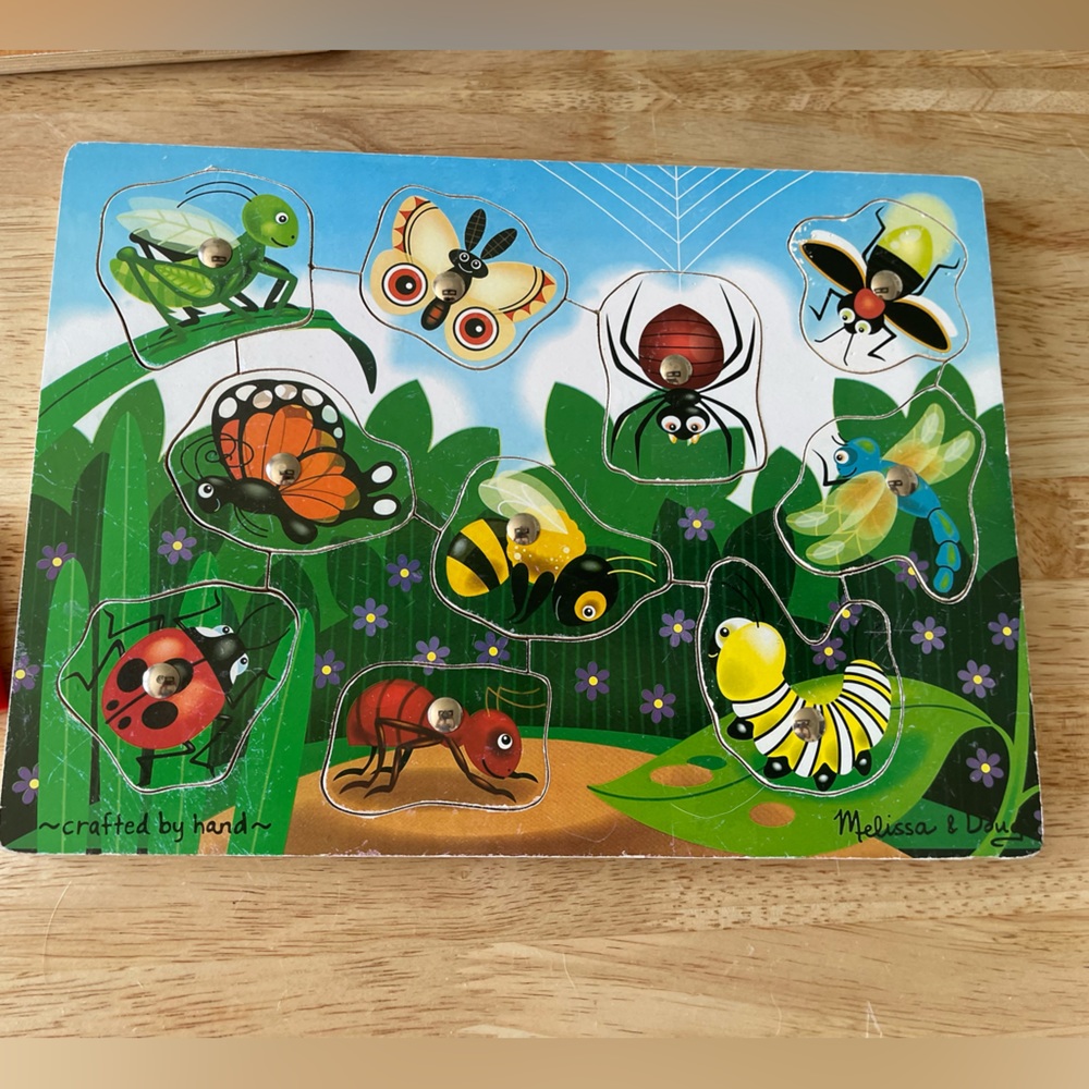 (💙$7 when you bundle) 
Wood Magnet Fishing Puzzle - Insects.Nature.Bugs